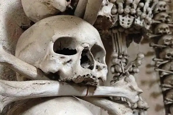 Cripta de los Capuchinos Cripta de los Capuchinos Roma